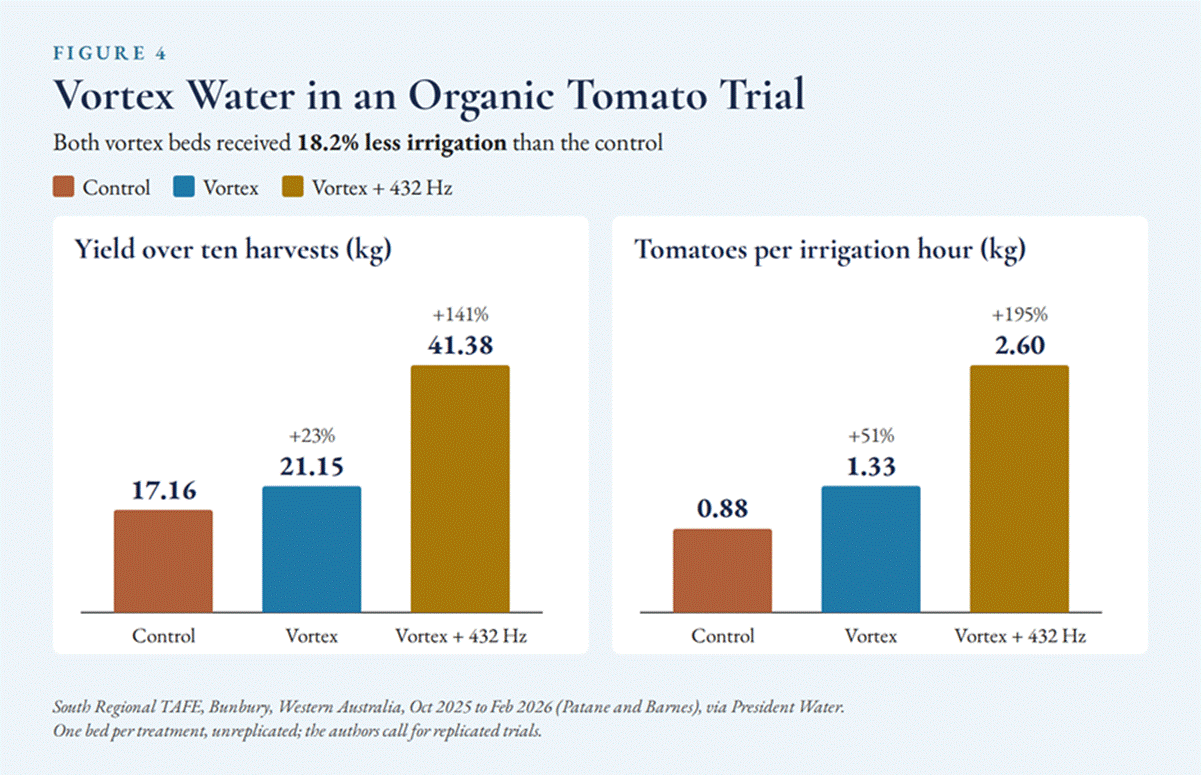Figure 4, Vortex Water in an Organic Tomato Trial: yield over ten harvests and tomatoes per irrigation hour, control vs vortex vs vortex + 432 Hz. South Regional TAFE, Bunbury WA, Oct 2025 to Feb 2026, via President Water. One bed per treatment, unreplicated; the authors call for replicated trials.