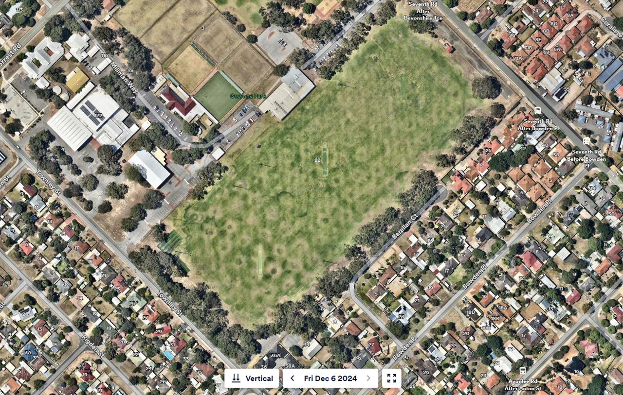Aerial imagery, Gwynne Park, 6 December 2024 — same date one year on, even coverage