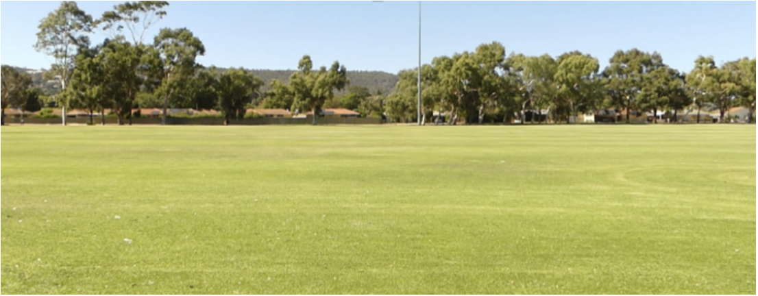 Late summer dry patches eliminated, Gwynne Park, 21 March 2025 — first full trial year