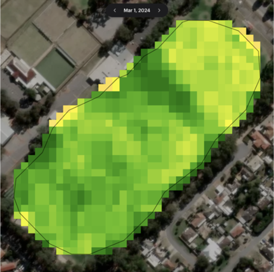 NDVI satellite imagery, Gwynne Park, 1 March 2024 — baseline year
